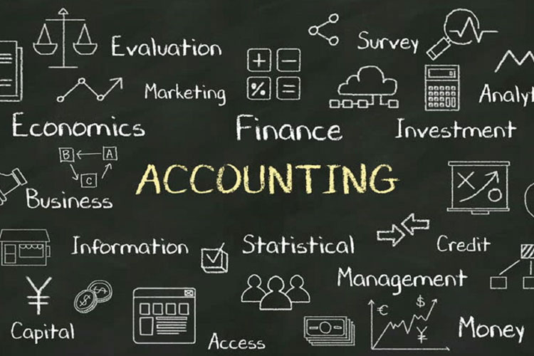 Professional CA services | Chartered accountant services